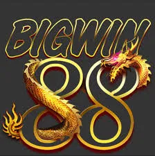 Aplikasi bigwin88 Resmi: Download dan Instalasi dan newidn: Rangkuman Brand yang Banyak Dicari